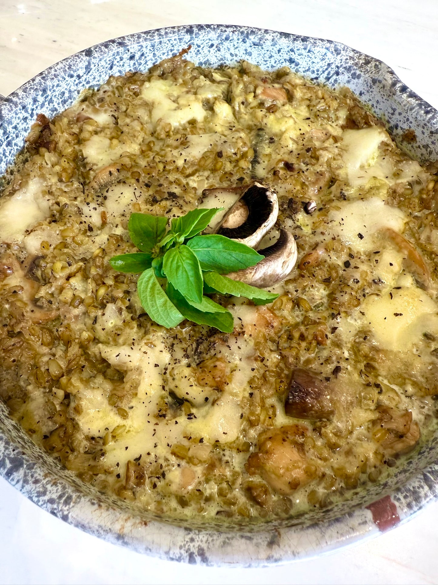 Freekah w/ chicken and mushroom